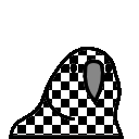 Checkered Flag