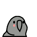 Sad Parrot